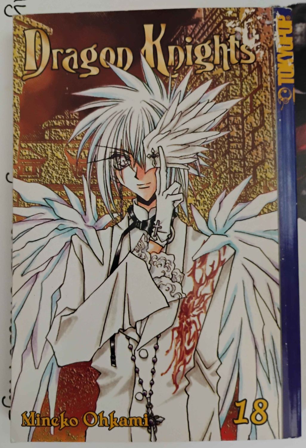 Dragon Knights Vol. 18