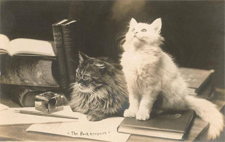 Postcard KC-21 The Bookkeepers, Cats on Desk