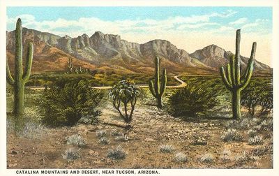 Postcard AZ-157 Catalina Mountains, Desert, Tucson