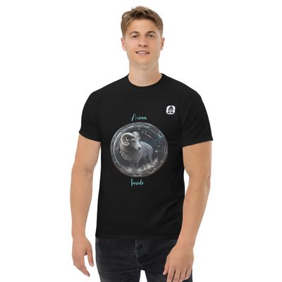 Arian Inside Unisex classic T-Shirt