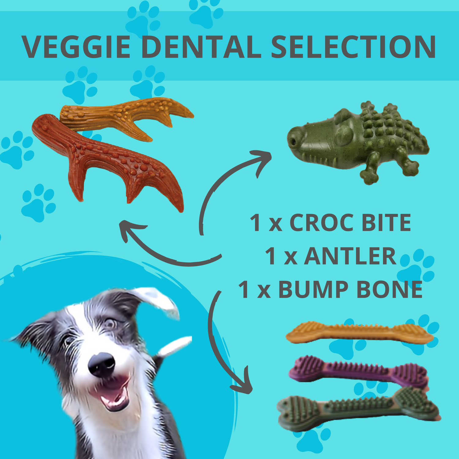 Veggie Dental Selection