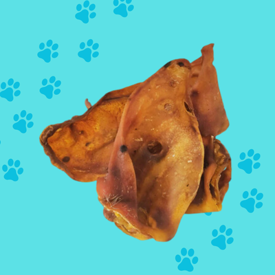 Pigs Ear