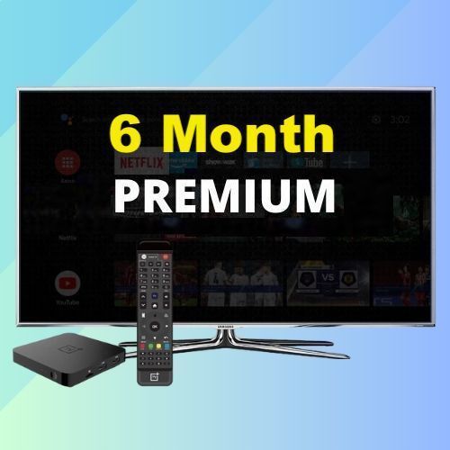 6 Month Seo Premium