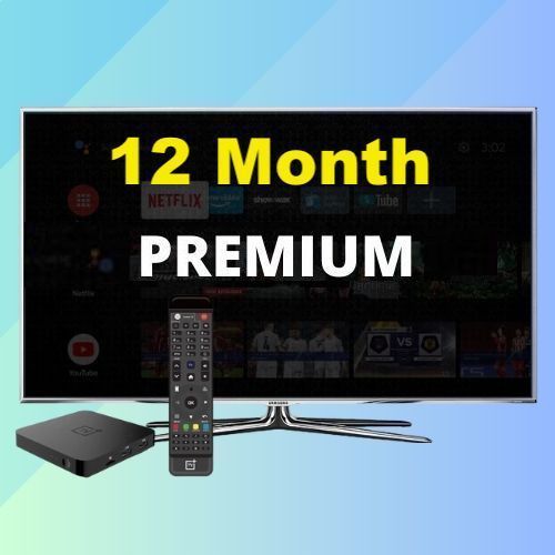 12 Month Seo Premium