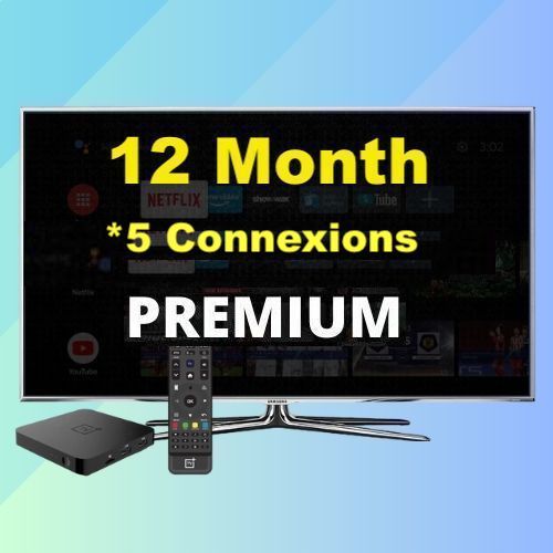 12 * 5 Month Seo Premium
