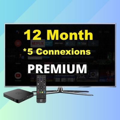 12 * 5 Month Seo Premium