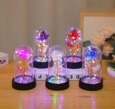 Lighting Rose in Dome- Gift