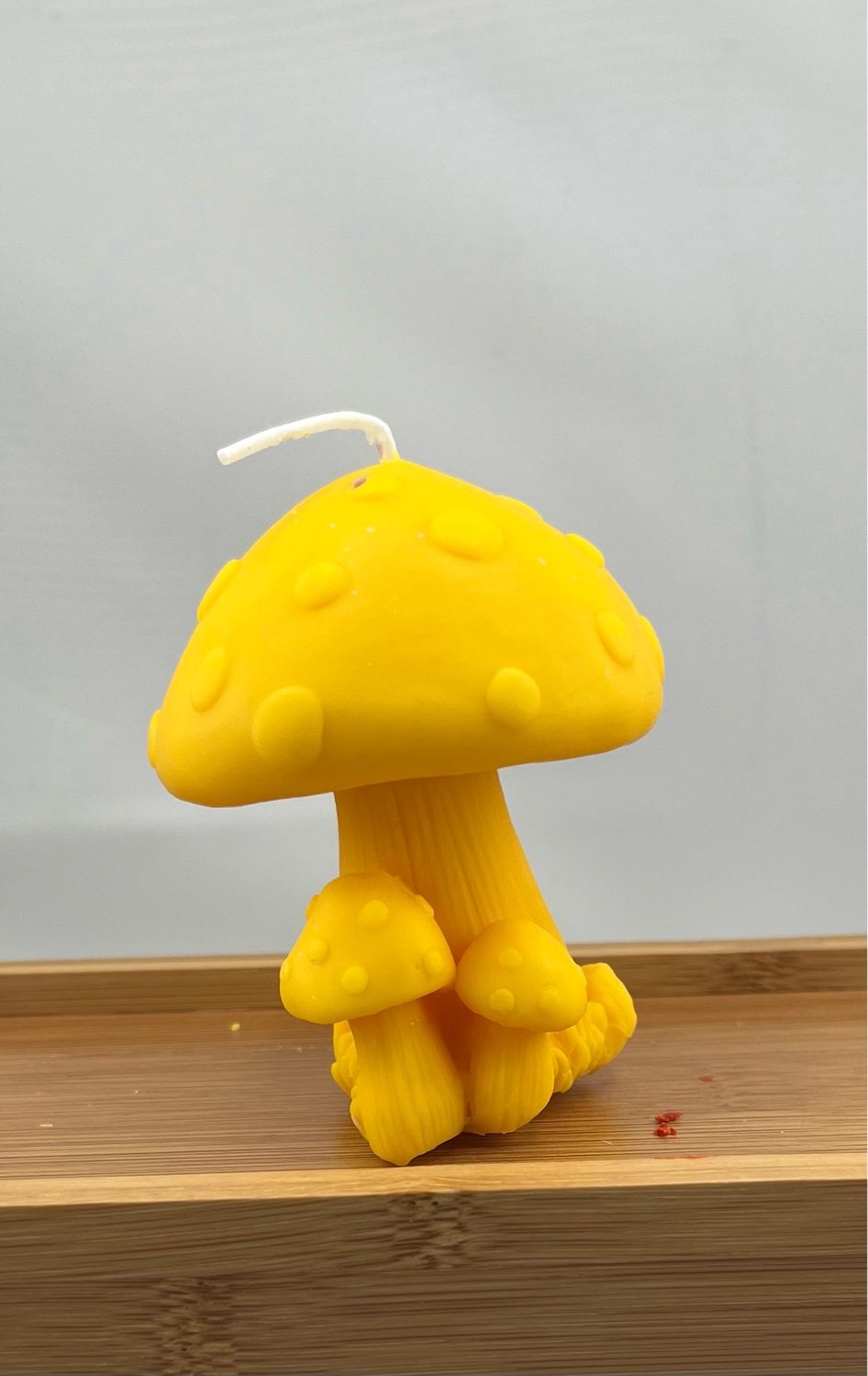 Mushroom Candle Citronella Scented