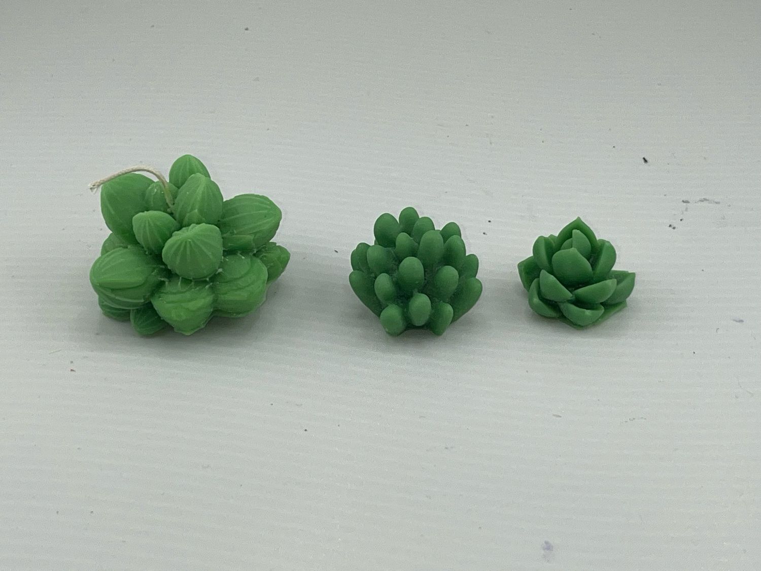 Succulent Candle Melts