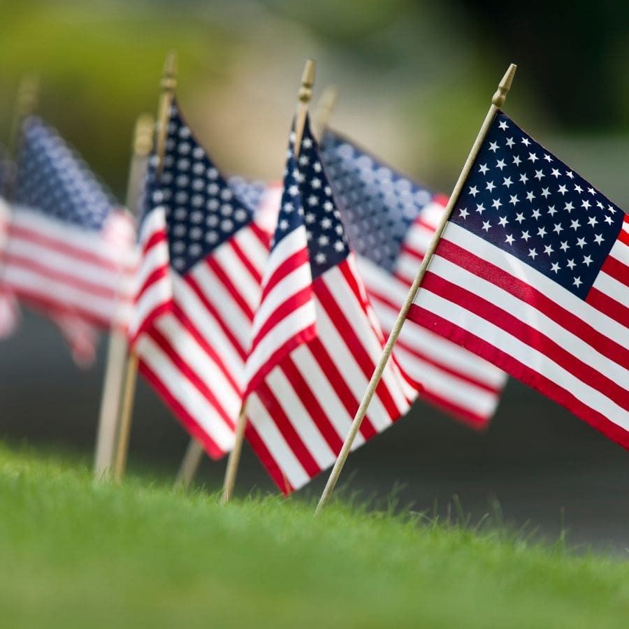 4th of July Decorations - Memorial Day Decorations - Small American Flags on Stick - 12 Pieces
