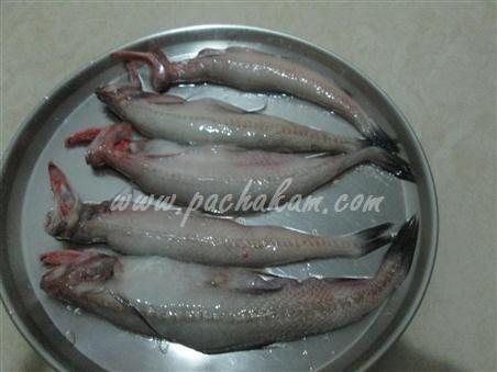 बोंबील