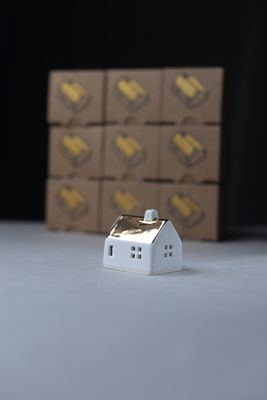 GOLD House Series5