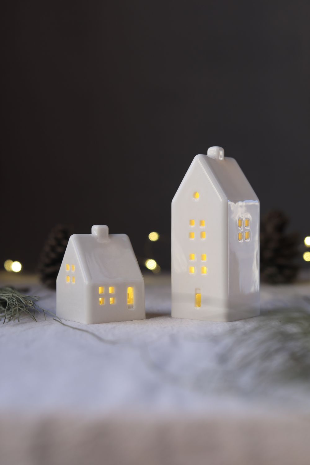 2 Porcelain Houses set #04