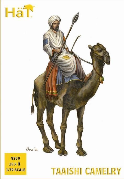 Taaishi camelry