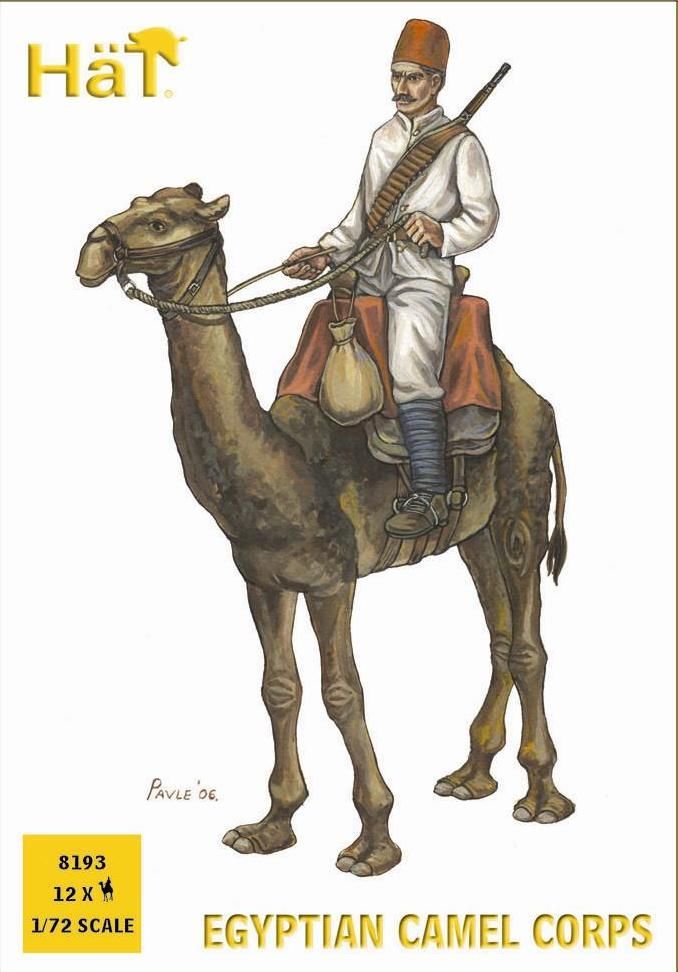 Egyptian Camel corps