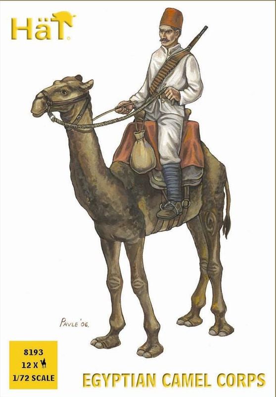 Egyptian Camel corps