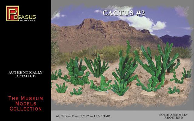 Cactusses