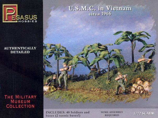 US Marines in Vietnam