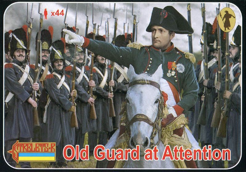 French Old Guard at Attention
