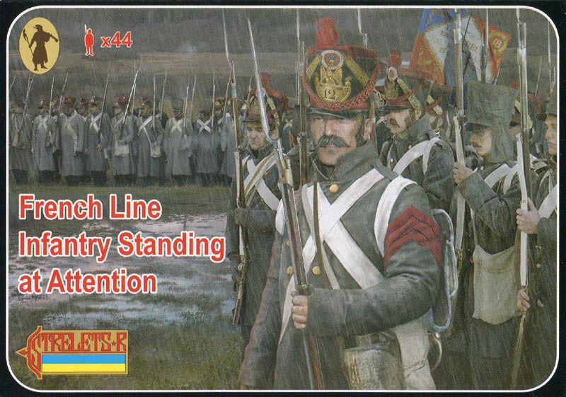 French line infantry at attention