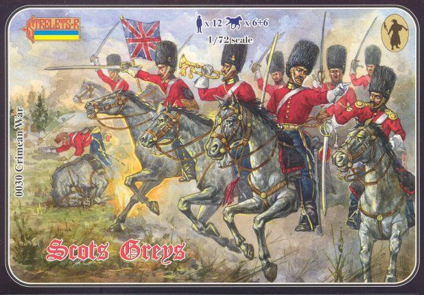 Scots Greys
