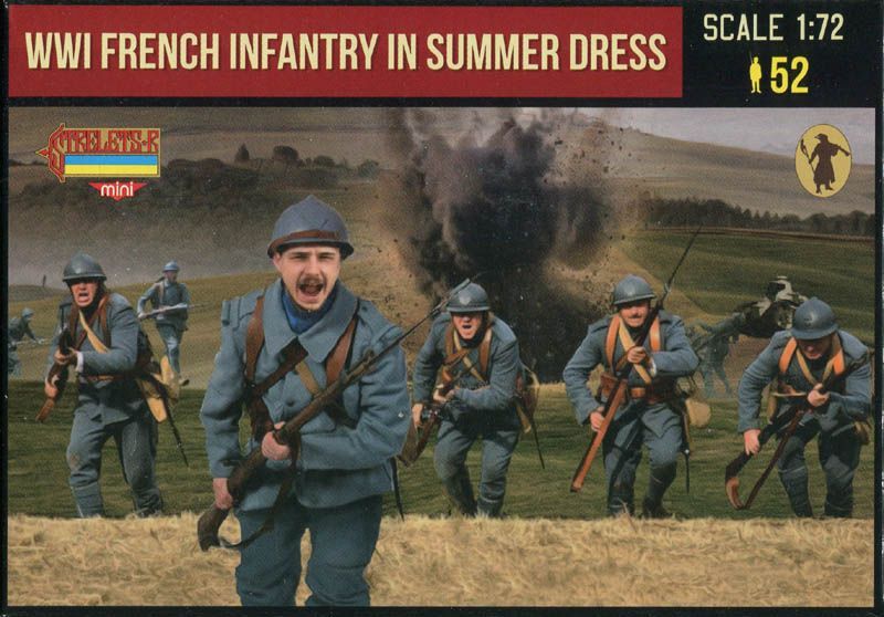 French infantry summer