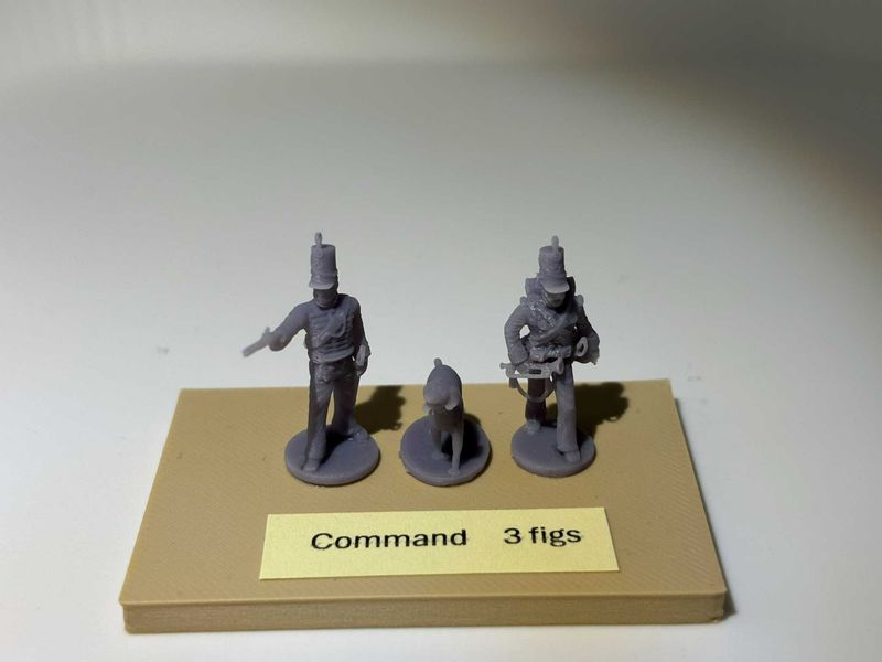 Nap. British 95th Rifles, Command