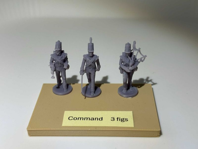 Nap. Highland 71 Foot Infantry, Command
