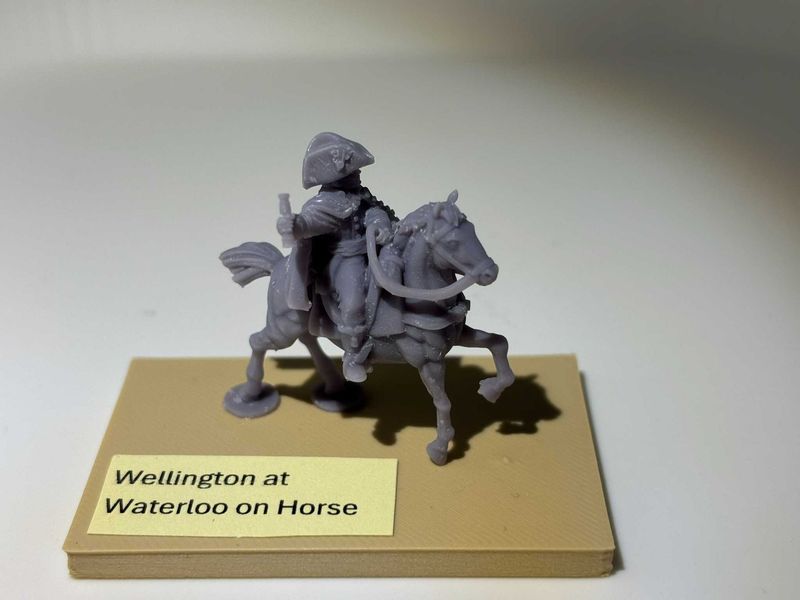 Nap. Wellington at Waterloo on Horse