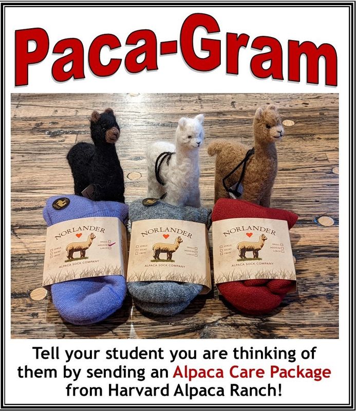 Paca-Gram