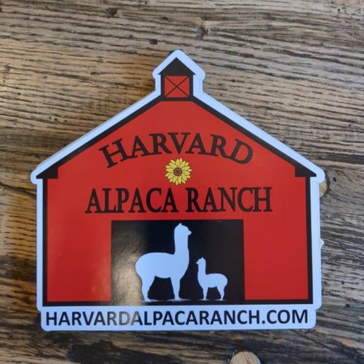 Car Magnet (5&quot;)