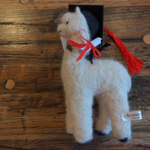 Graduating Alpaca