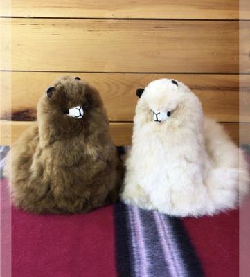 Stuffed Animals