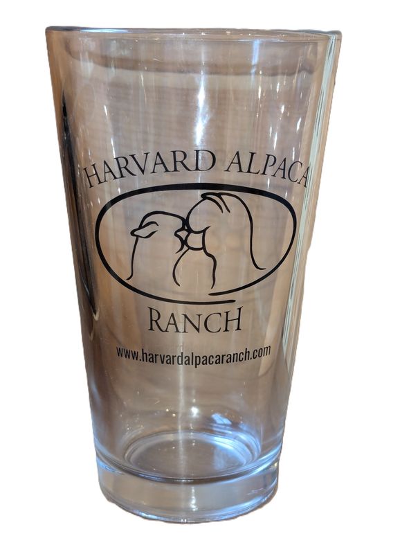 Pint Glass