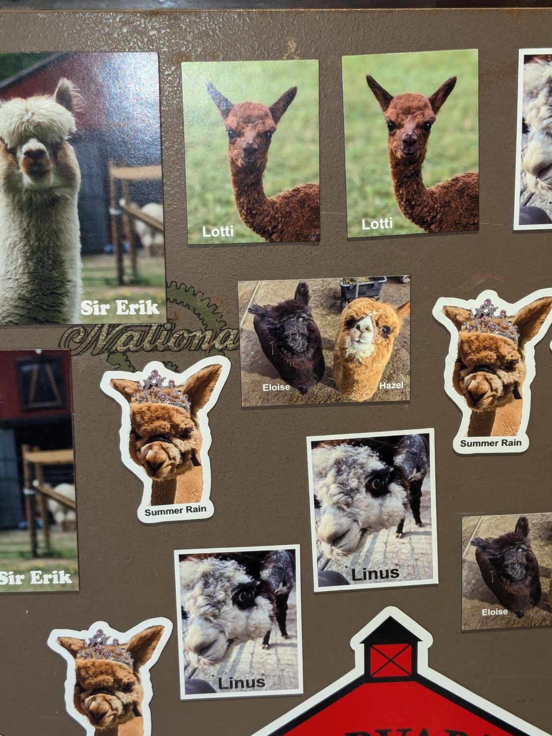 HAR Novelty Magnet