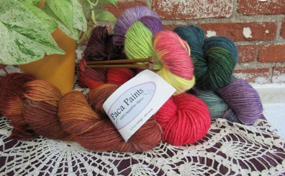 Paca Paints Yarn