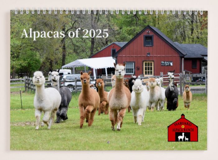 2025 HAR Calendar