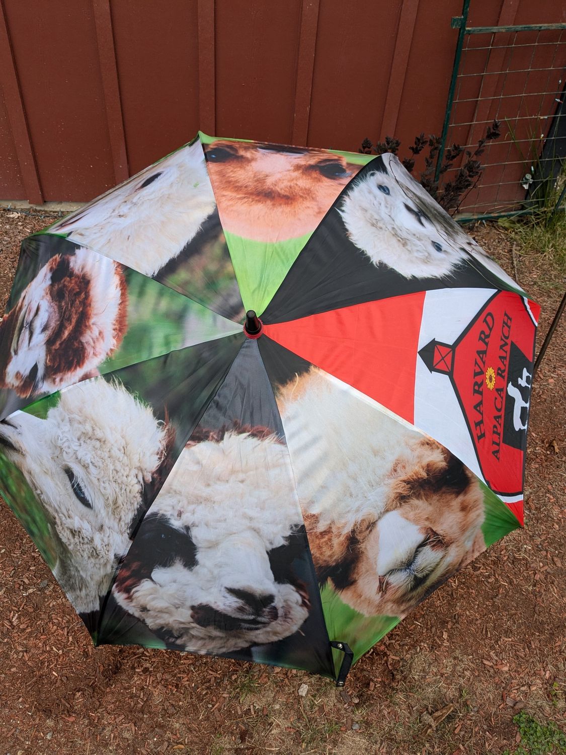 Custom Umbrella