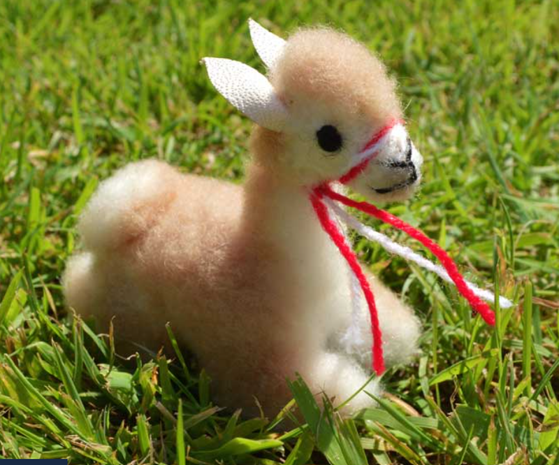 Vicuna