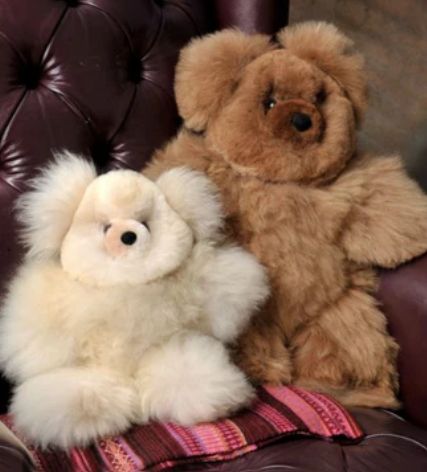 Tiny Teddy Bear