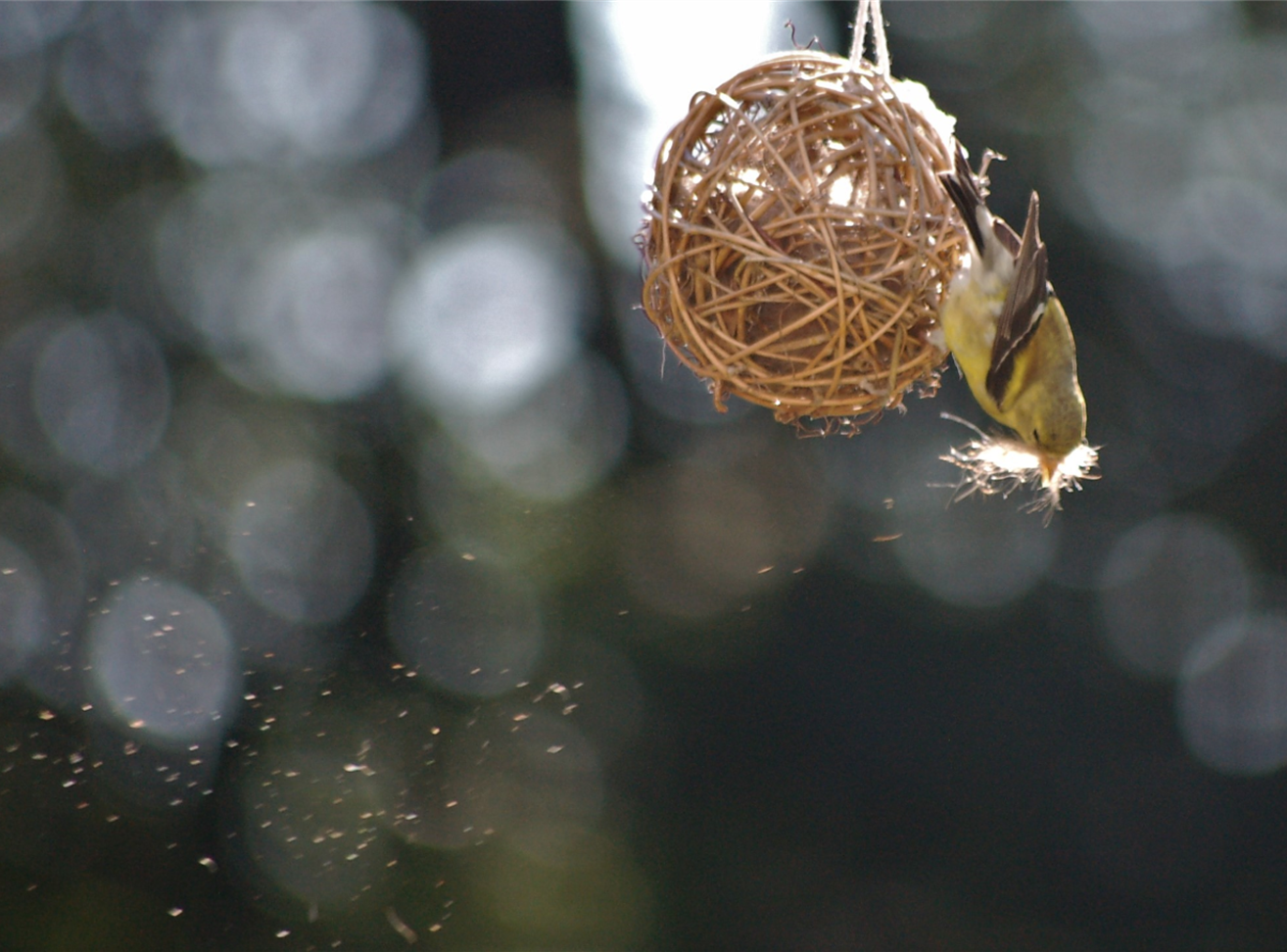 Nesting Station