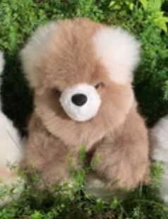 Large Sitting Bear