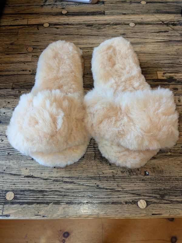 Alpaca Slides