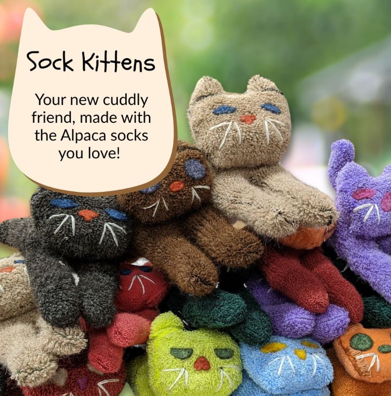 Sock Kitten