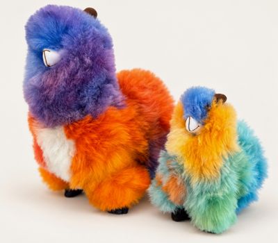 Fluffy Fur Animals