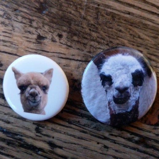 HAR Alpaca Pin  (various)