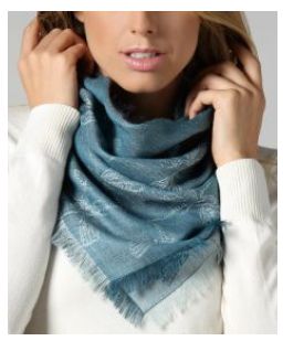 Dragonfly Woven Scarf