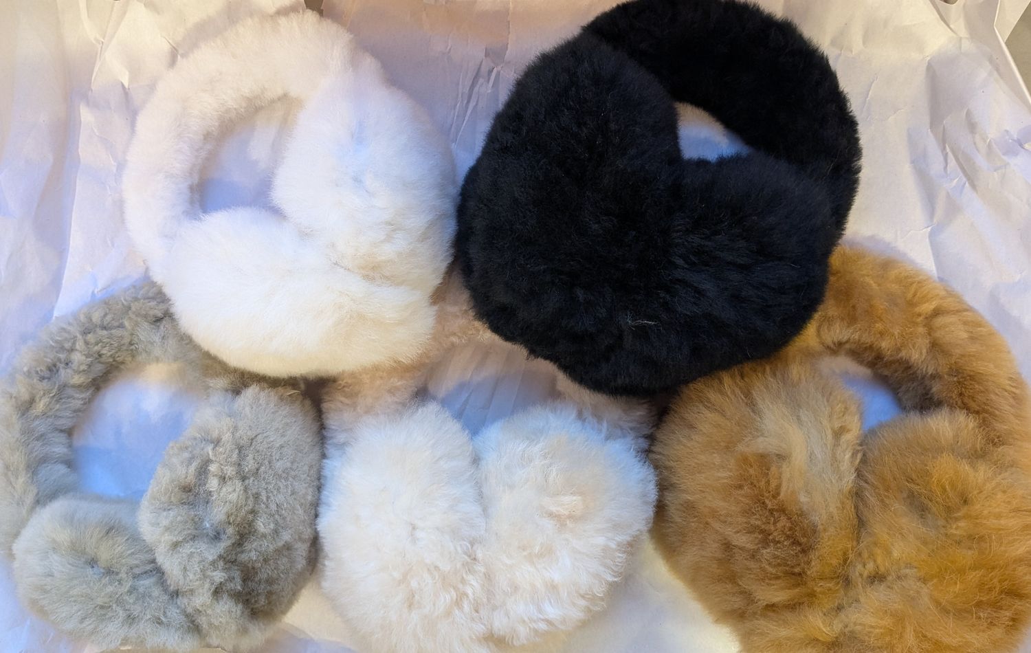 Ear Muffs