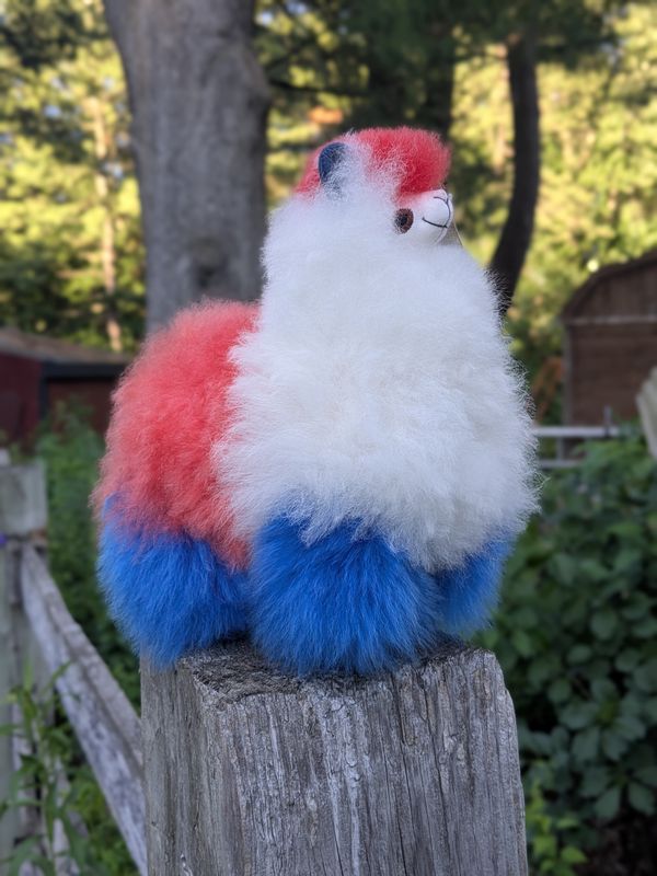 Patriot Alpaca