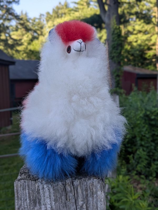 Patriot Alpaca